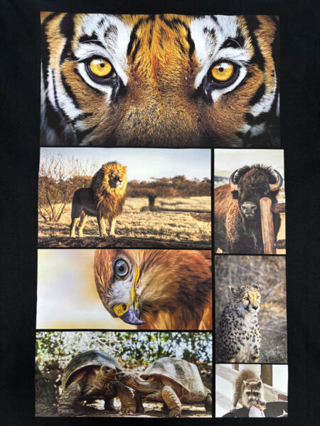 IMG_0356.jpeg Thumbnail